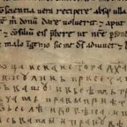 Nit’ srpski, nit’ hrvatski, nit’ bošnjački: Ovo je prava istina o postajanju i svojatanju bosanskog jezika!