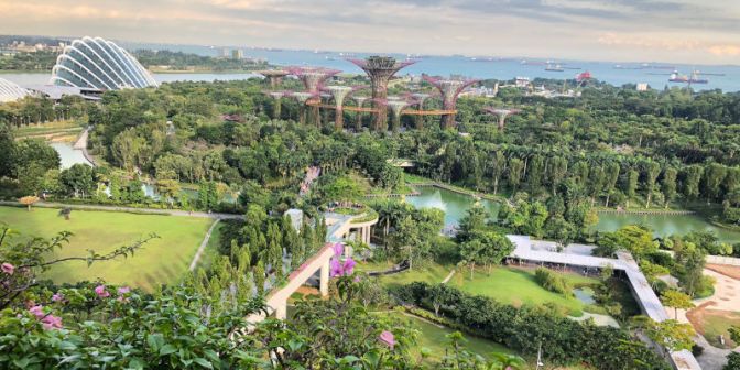 working-holiday-visum-singapur