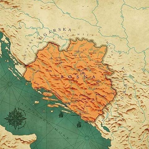 54247647_1136945936478383_4150381447028781503_n