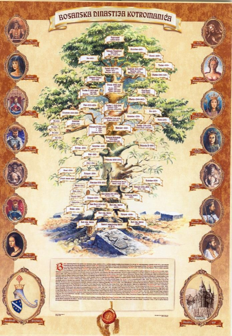 bosansko-kraljevsko-stablo1