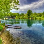 Sa šumama nestaju vode. Seljaci kažu – bježi voda!