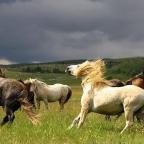 Zašto je sjajna Bosna i Hercegovina na dnu Liste zaštićenih područja u svijetu?