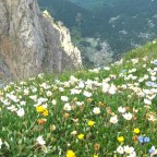 Slovo o knjizi Bosna i Hercegovina – kulturna kapija Evrope