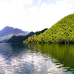Država se ruši sa ciljem pljačke imovine koja pripada svim građanima podjednako