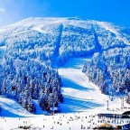 Priča o Sarajevskom spustu i Snježnoj kraljici – u susret XXV ZOI Milano – Cortina